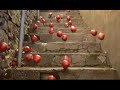 Tango Ad - Sony Bravia spoof