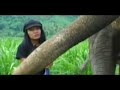 The Elephant Lady