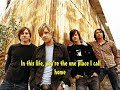 D-masiv-sang-Plagiat