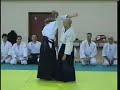 Aikido iriminage