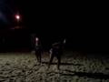 badminton