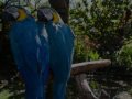 videos de PPP 2 *episode 2*