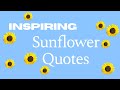 The Best 19 Sunflower Quotes Tumblr