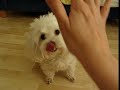 Give me five!