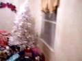 christmas 2007 part 2