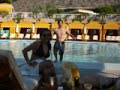 Scottsdale Arizona Bakasyon