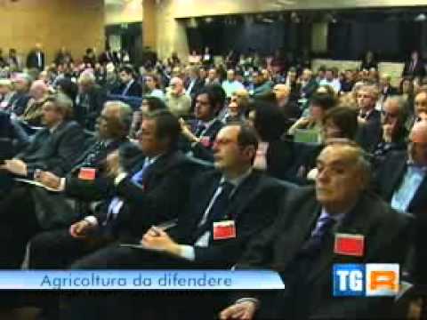 Guarda il video