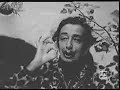 Dali artist