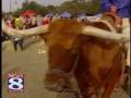 Star of Texas Fair and Rodeo Cowboy Breakfast (3).wmv