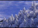 The-Four-Seasons-Win