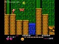 nesguide.com - 