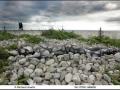 Lyme Regis Jurassic Jewels Calendar 2010