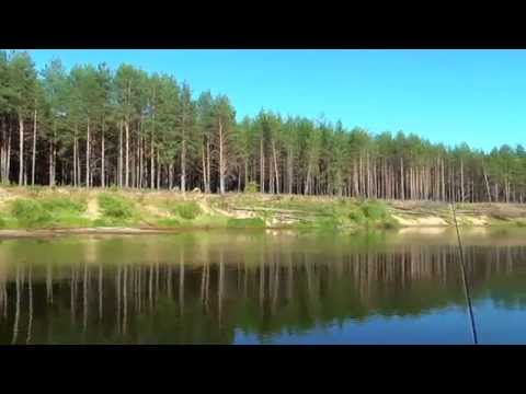 YouTube Трейлер
