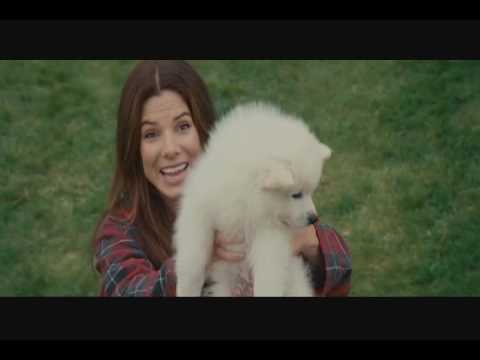 how to involve dog in proposal
