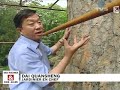 http://toutsurlachine.blogspot.com
des racines et des ailes - 2007
deuxi�me partie du reportage sur le palais d'�t�, beijing