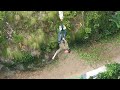 saut élastique  pont napoléon 