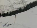 Skiprofi David Skiprofi David