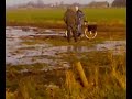 gek met fiets op ijs in wijhe (hulsberge)