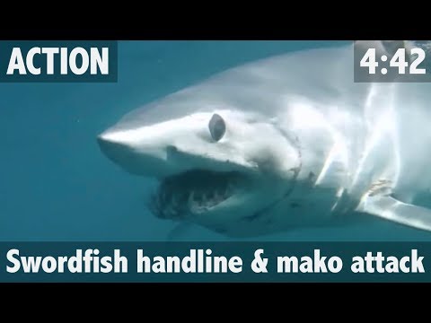 Giant - After battling a huge swordfish to the surface on his trusty handline out off the coast of Northland, New Zealand, Matt Watson finds himself in a race with a...