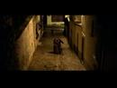 EXTRAIT "LES AMES CALINES"