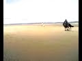 galloping beach race from a standstill to flat out gallop