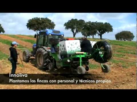 Imagen del video