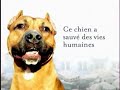 pub schweppes