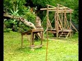 Projects Abroad - Rainforest Conservation Project in Peru