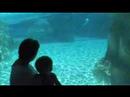 Aquatica in  Orlando USA