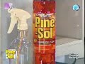 Segment#1 all about Pinesol