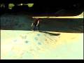 videos de shred fdr