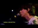 gorillavsbearblog - Animal Collective plays