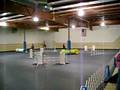 videos de Wrigley at WAG