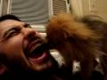 videos de Too Cute