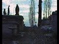 Sen (1995) L.K Avalon