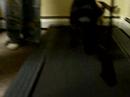 Treadmill Kitty Kat