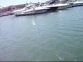 Paddle Boarding at Newport Beach パドルボーディング