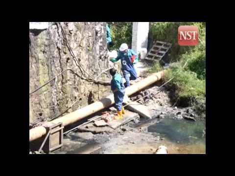 how to isolate e.coli from soil