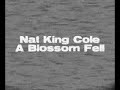 A Blossom Fell