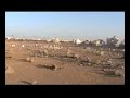 زوار قبر الحبيب محمد