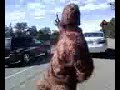 Bigfoot Sightings in Grand Canyon