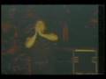clip video Quentin White Surgical Strike