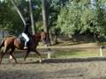 videos de Madisson