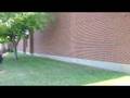 videos de The Wall Flip
