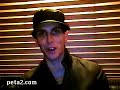 Cobra Starship video