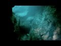 Free Diving - From Blue Spring State Park to Wekiwa ...