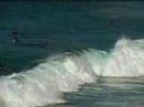 Rheopaipo QLD Bodyboarding Pro.