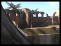 halo-3-bestcrazy-suicide-death-by-windmill-last-resort.html