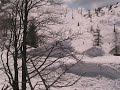 Mitja Kodri? fs7 mute (@VOGEL07)