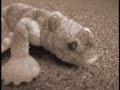 the attack of the giant lizard